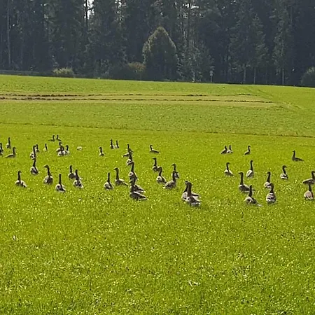 Ferienwohnung Am Kirnbergsee Unterbrand Zewnętrze zdjęcie